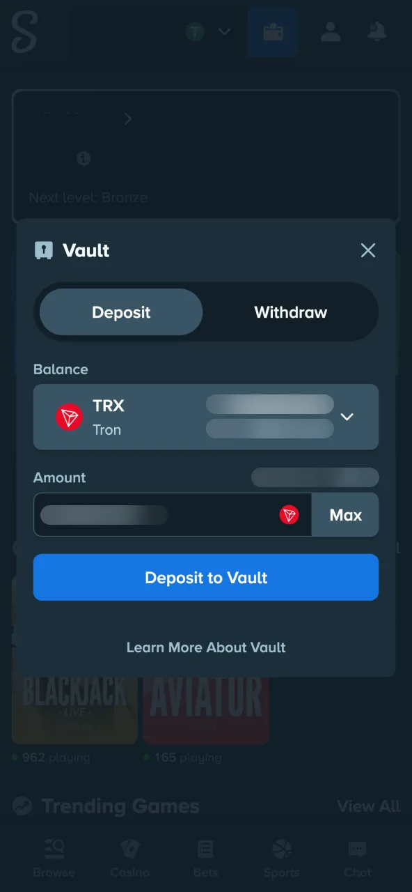 Add balance to Stake with supported INR options.