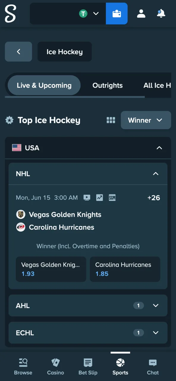 Choose Stake ice hockey match from NHL or KHL.