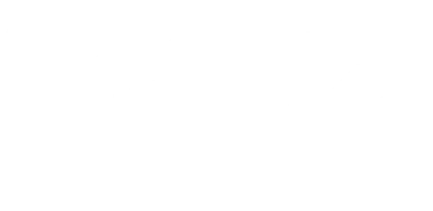 View the official Stake India logo.