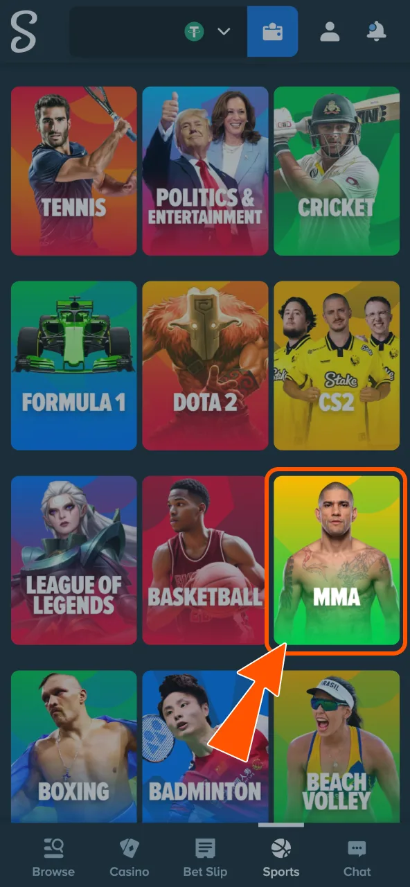 Stake platform offers MMA betting section.