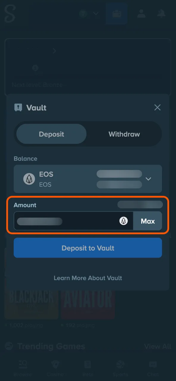 Input Stake deposit amount in chosen currency.